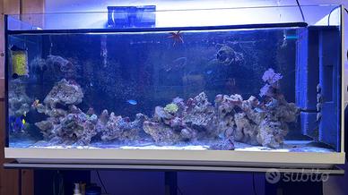 Rocce acquario marino