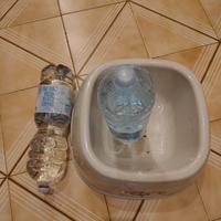 ciotola gigante per animali di grossa taglia