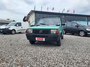 fiat-panda-1100-i-e-cat-young
