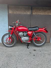 Moto Guzzi Stornello Regolarità ISD