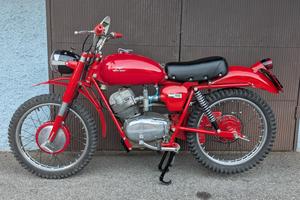 Moto Guzzi Stornello Regolarità ISD