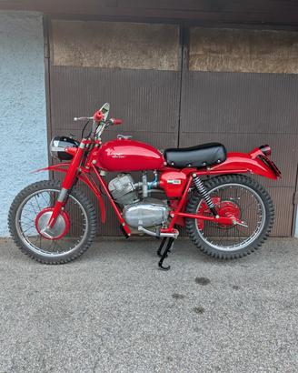Moto Guzzi Stornello Regolarità ISD