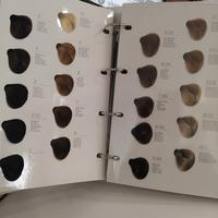 Cartella Colori Professionale Revlonissimo - Revlo