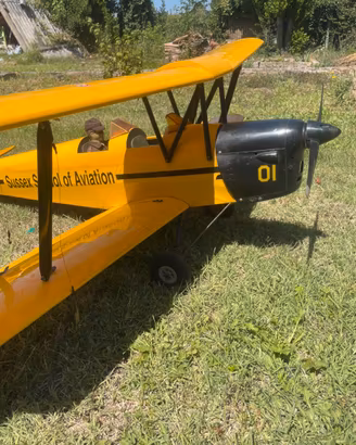Aeromodello De Havilland Tiger Moth 01
