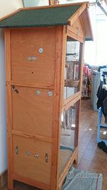 Voliera