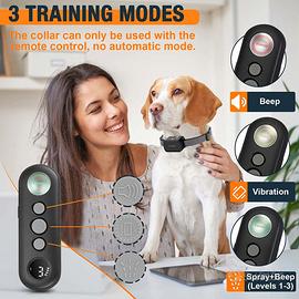 Collare del cane Citronella con telecomando addest