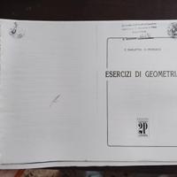 esercizi di geometria Barletta Petrucci
