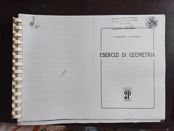 esercizi di geometria Barletta Petrucci