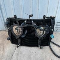 Radiatore Acqua e Olio MV Agusta F4 RR Corsa Corta