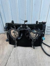 Radiatore Acqua e Olio MV Agusta F4 RR Corsa Corta