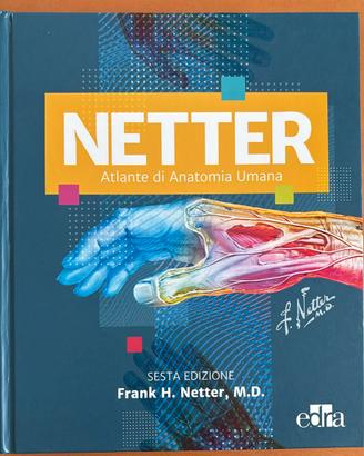Atlante di Anatomia Umana Netter (sesta edizione)