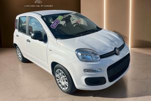 Fiat Panda 1.0 FireFly S&S Hybrid Icon