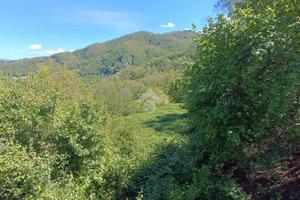 TER. RESIDENZIALE A MONTEFIORINO