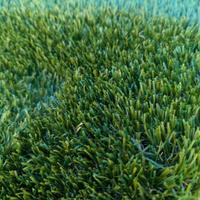 Erba sintetica Tenax Irish Mat Pro 42mm (11mq)