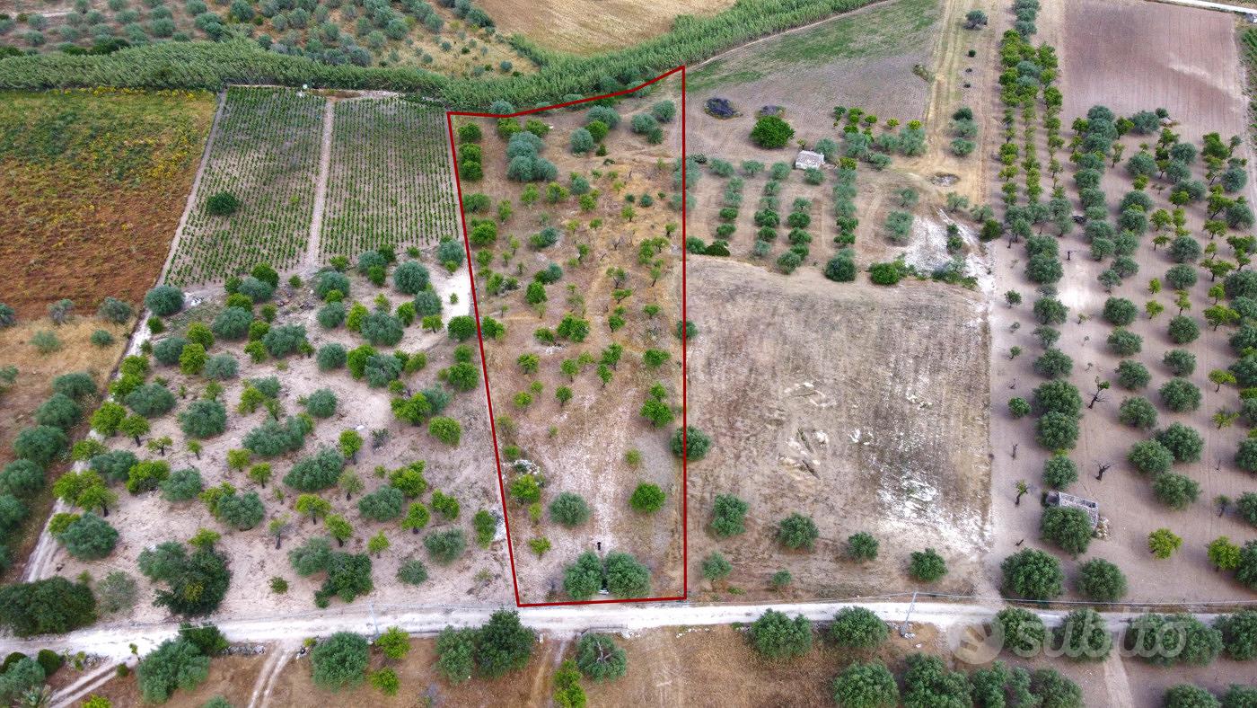 Terreno Agricolo Noto [Cod. rif 3321426VCG] - Vista 3