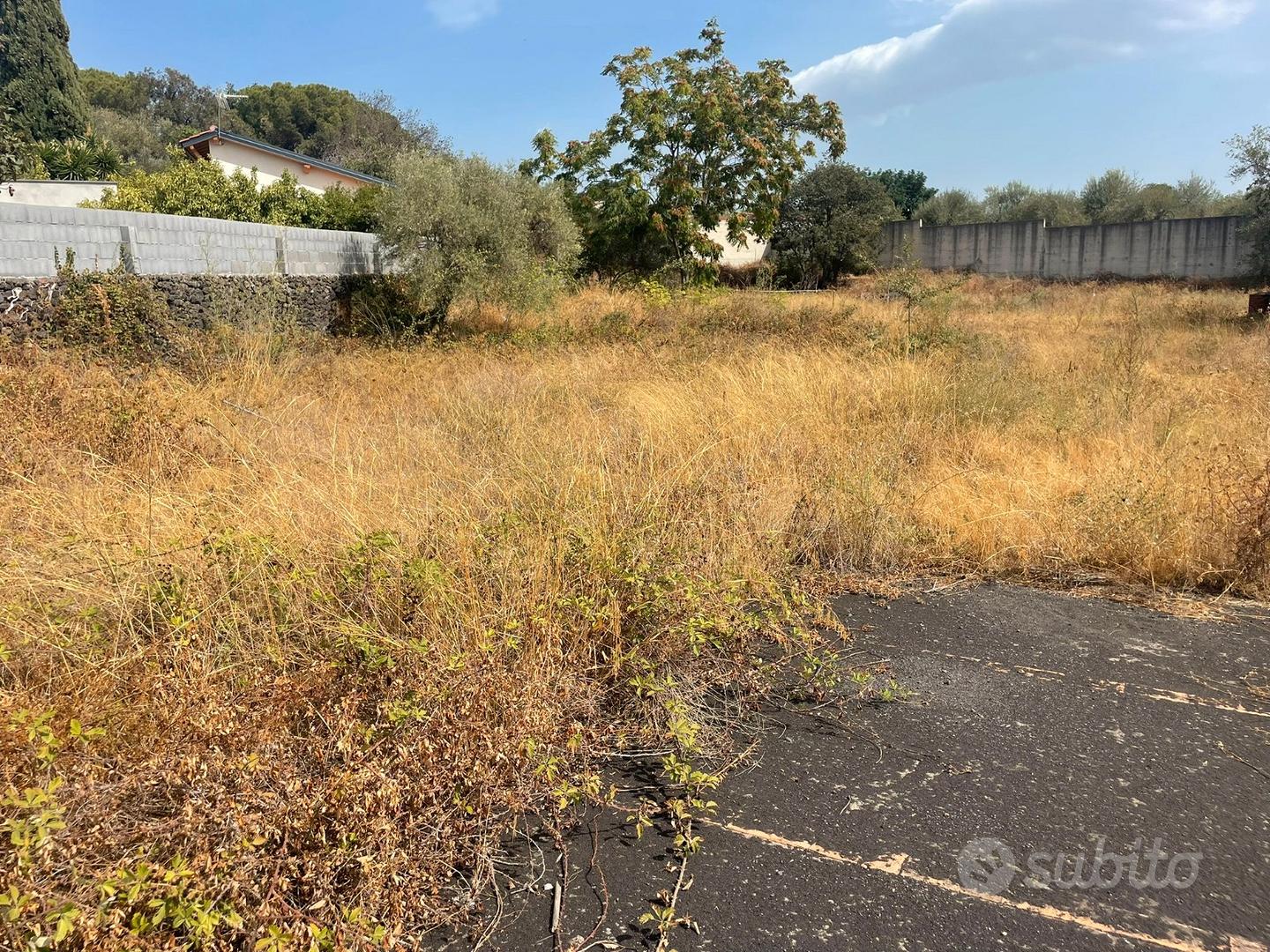 Terreno con progetto - Vista 4