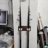 coppia di canne Italcanna Evo 470