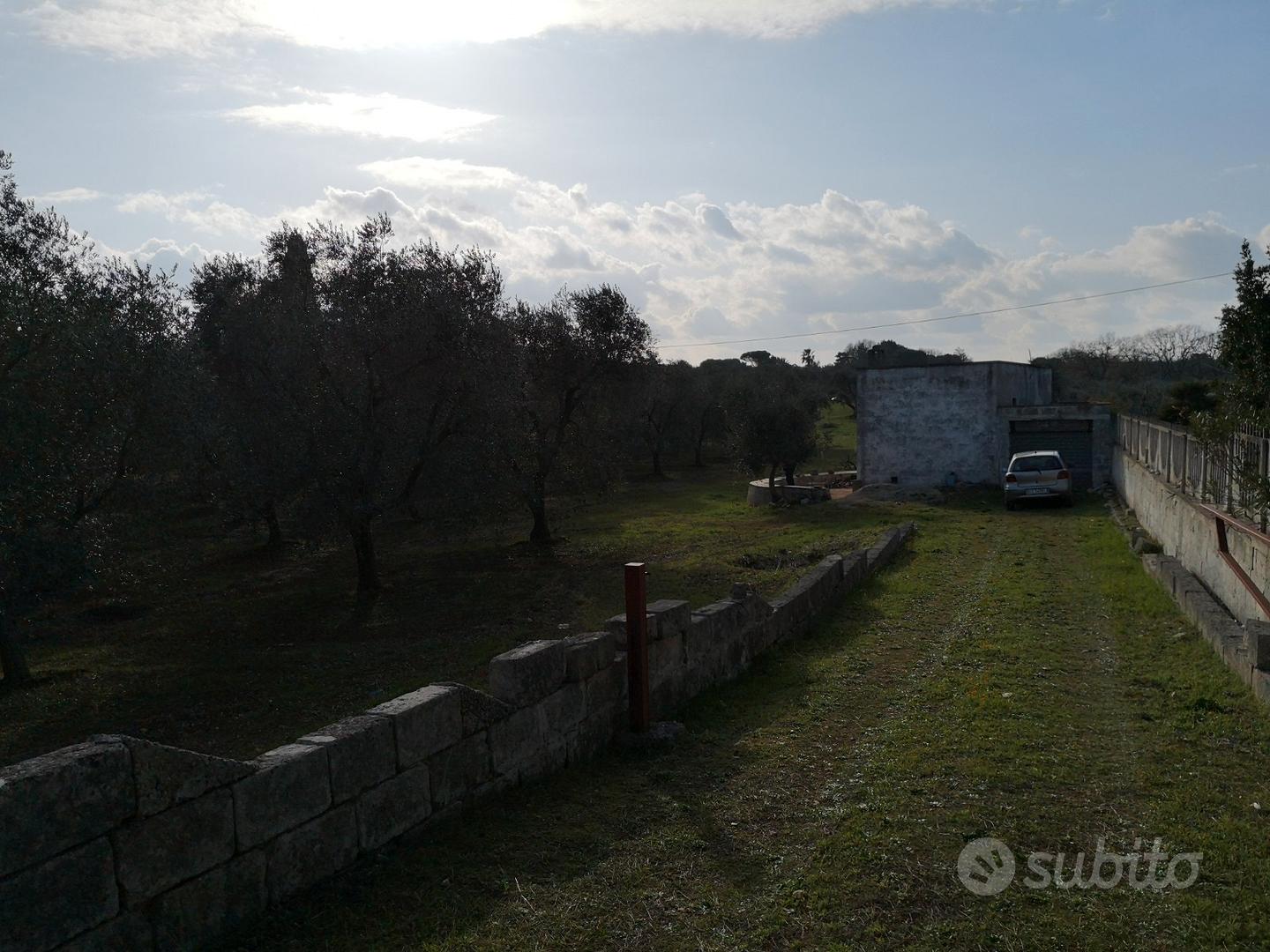Terreno con uliveto e lamia - Vista 3