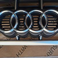 griglia Audi Q3