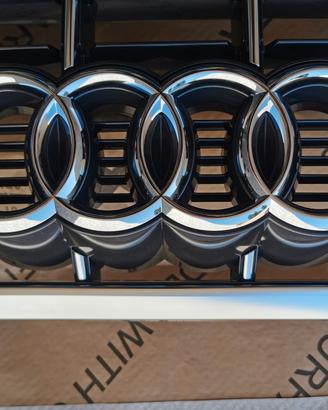 griglia Audi Q3