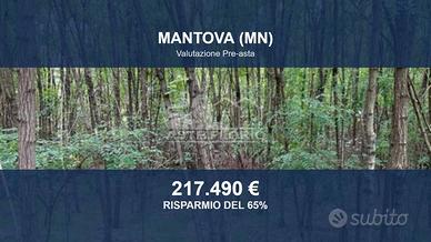 Immobile in asta di 49520 m² a Mantova