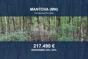 Immobile in asta di 49520 m² a Mantova