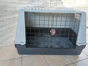 box per trasporto cani taglia grande
