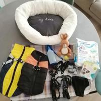 Accessori per cane piccola taglia