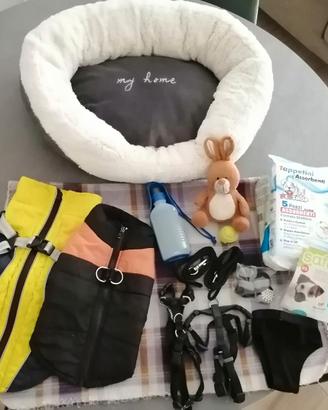 Accessori per cane piccola taglia