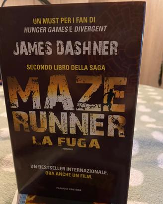 Libro avventuroso saga hunger games