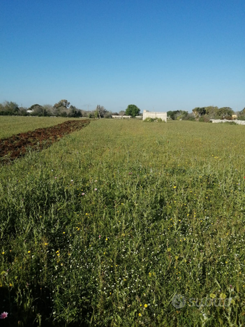 Vendita terreno agricolo