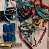 guinzagli e altri oggetti 