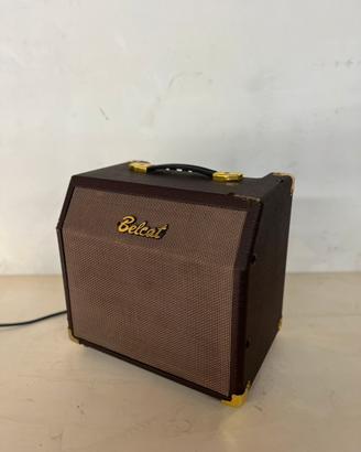 Amplificatore per strumenti acustici Belcat
