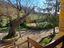 Immagine 28