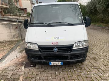 Ducato by power