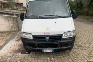 Ducato by power