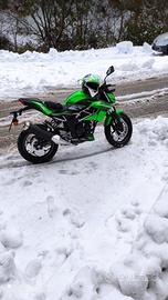 Kawasaki z125 2020