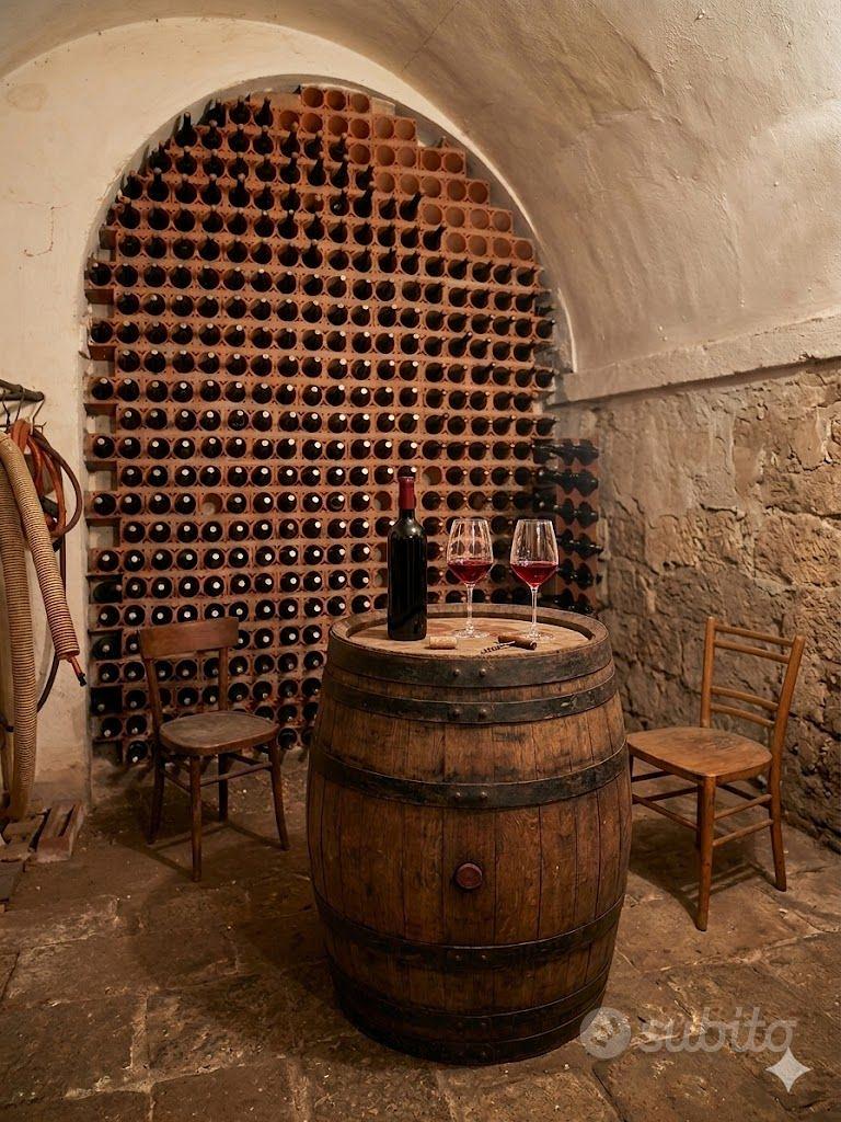Corte storica: casa padronale, vigneto e stalla - Vista 2