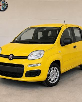 FIAT Pandina III 2024 - Pandina 1.0 firefly hybrid