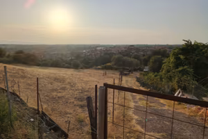 Terreno agricolo Cellere