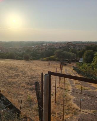Terreno agricolo Cellere