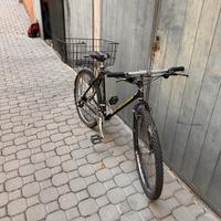 Bicicletta Parma