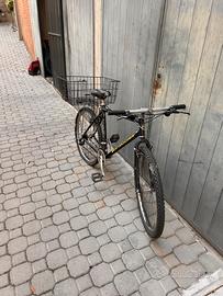 Bicicletta Parma