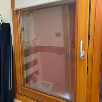 Finestra e zanzariera