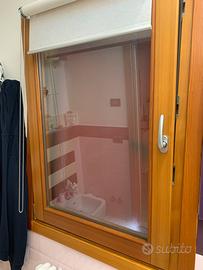 Finestra e zanzariera