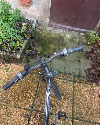 Bicicletta età 12 anni