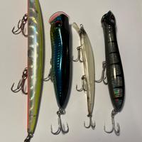 Esche artificiali pesca spinning