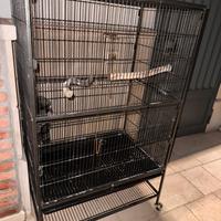 Gabbia per pappagalli