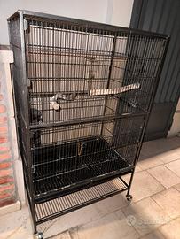 Gabbia per pappagalli