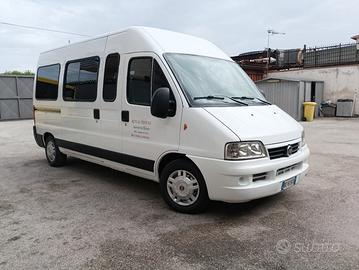 Fiat Ducato 9 posti disabili 
